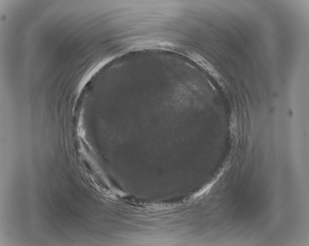 X0000078840877200611271319