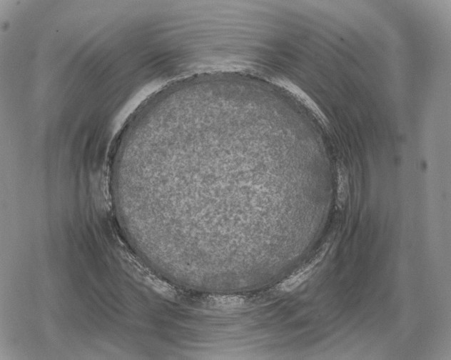 X0000078840878200611271319