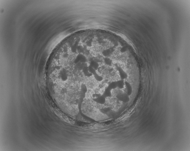 X0000078840879200611271319