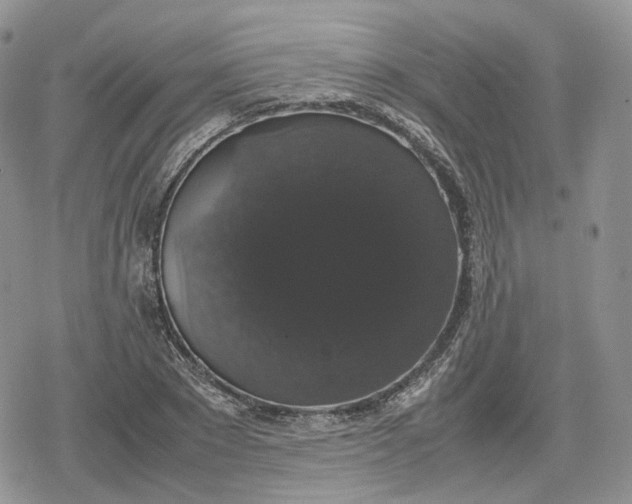 X0000078840881200611271319