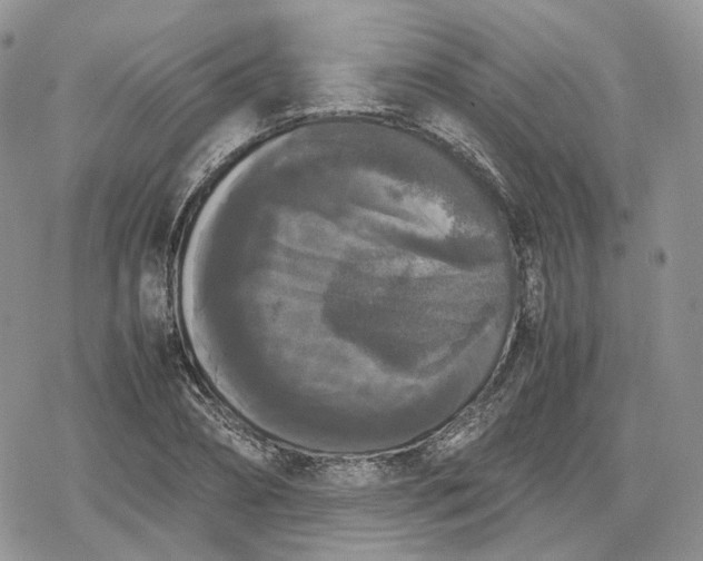 X0000078840882200611271319