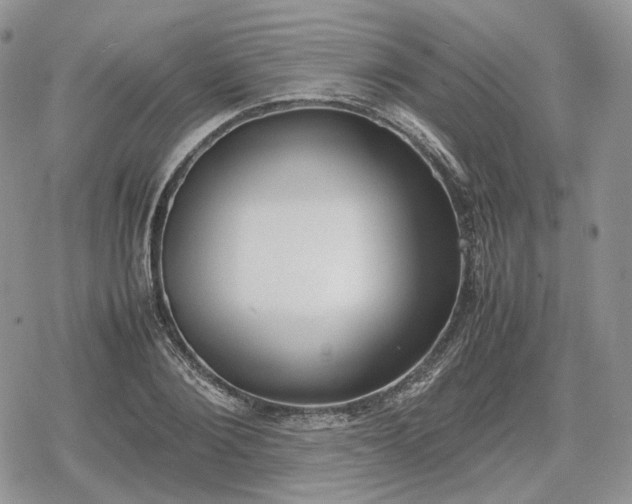 X0000078840884200611271319