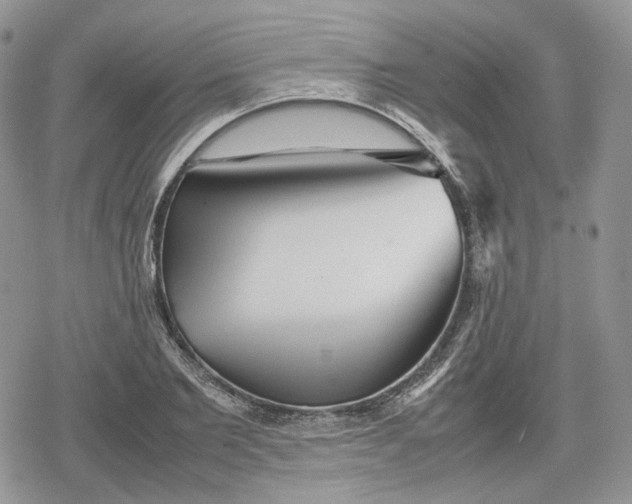 X0000078840885200611271319