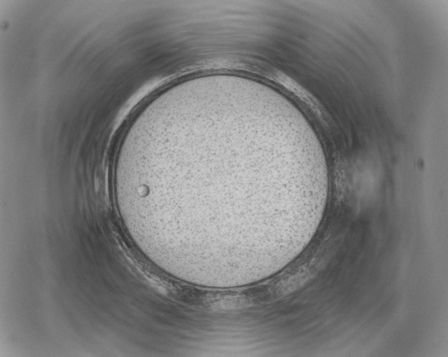 X0000078840886200611271319