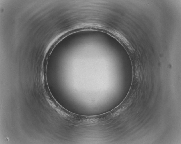 X0000078840888200611271319