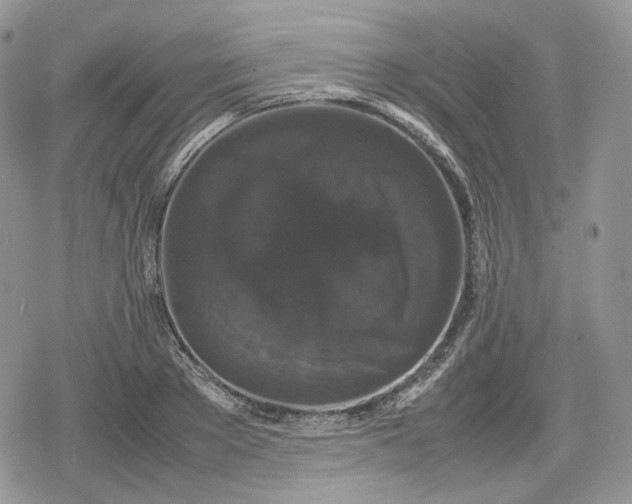 X0000078840889200611271319