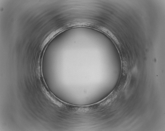 X0000078840890200611271319