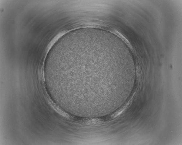 X0000078840891200611271319