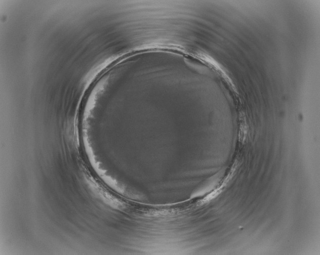 X0000078840892200611271319