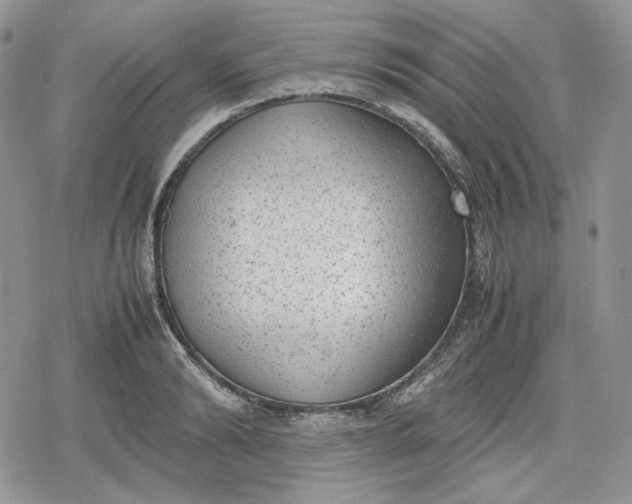 X0000078840894200611271319