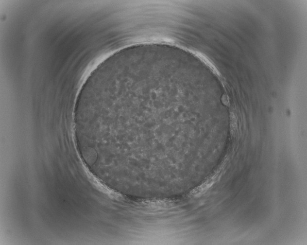 X0000078840895200611271319