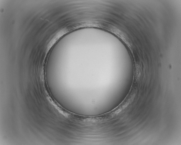 X0000078840898200611271319