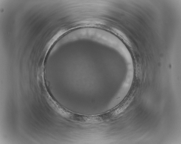 X0000078840899200611271319