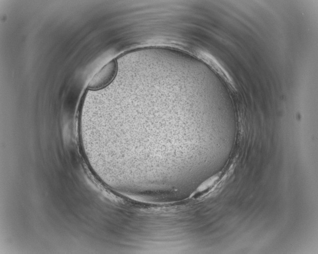 X0000078840900200611271319