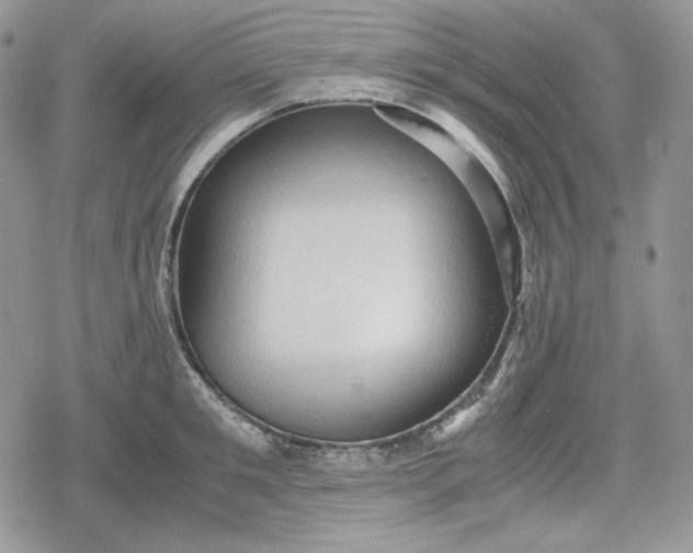 X0000078840901200611271319