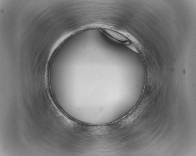 X0000078840902200611271319