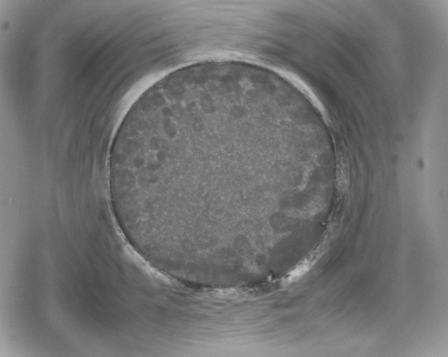 X0000078840903200611271319