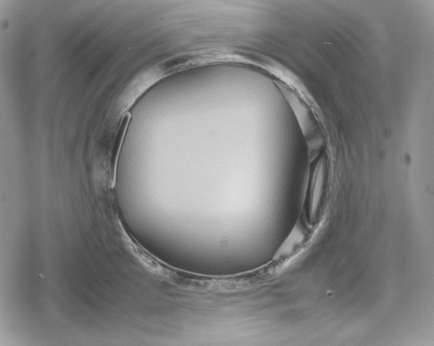 X0000078840905200611271319