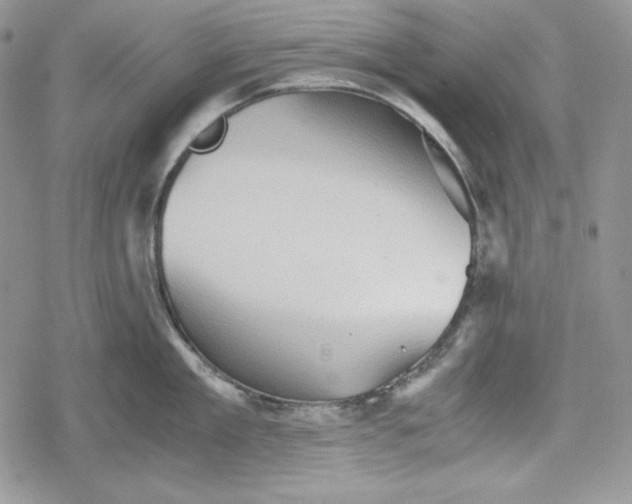 X0000078840909200611271319