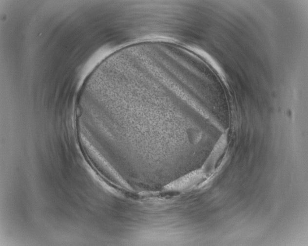 X0000078840910200611271319