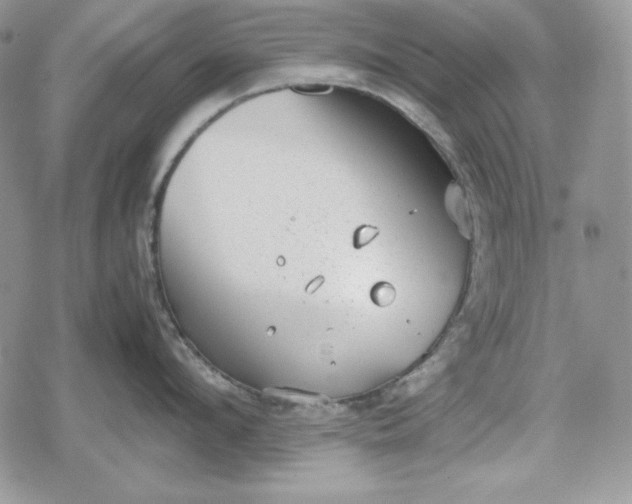 X0000078840912200611271319