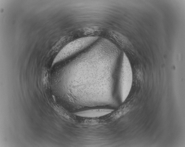 X0000078840914200611271318