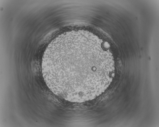 X0000078840918200611271318