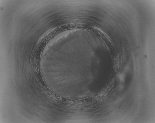 X0000078840919200611271318