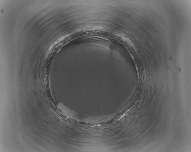 X0000078840920200611271318