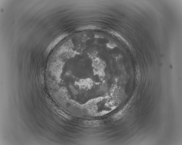 X0000078840921200611271318