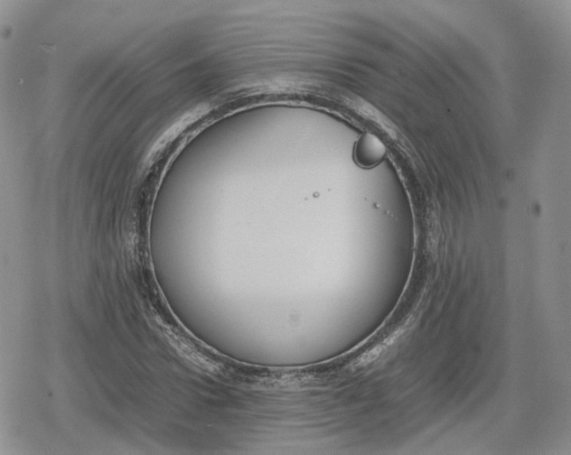 X0000078840922200611271318