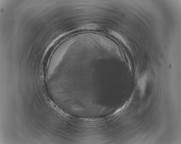 X0000078840923200611271318