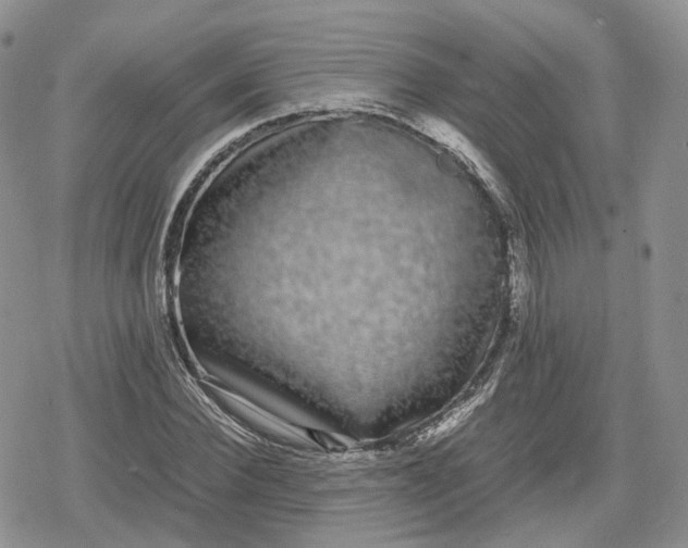 X0000078840924200611271318