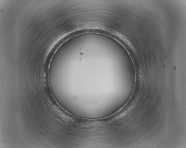 X0000078840926200611271318