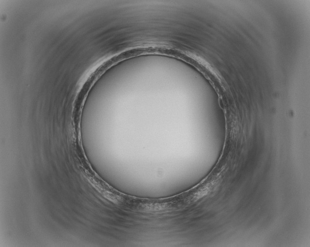 X0000078840927200611271318