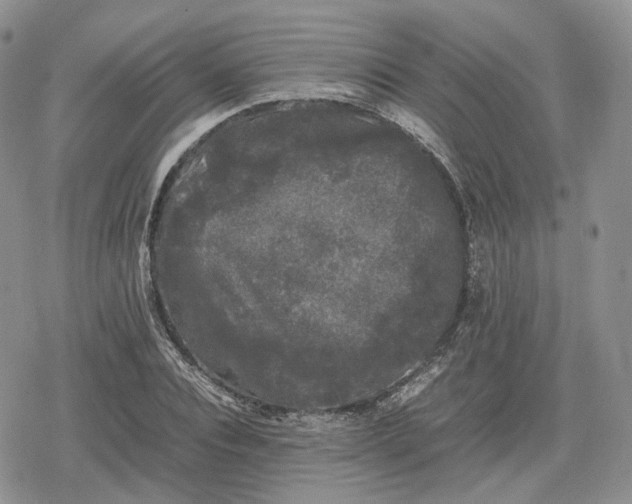 X0000078840928200611271318