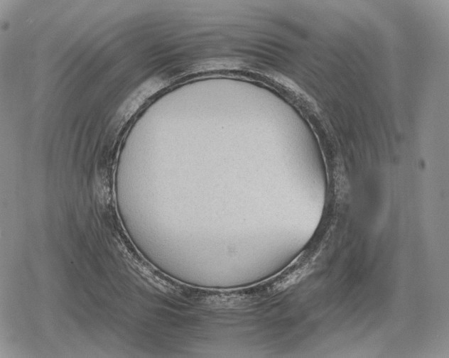 X0000078840929200611271318