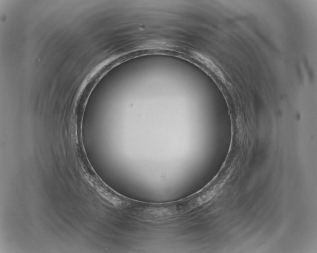 X0000078840931200611271318