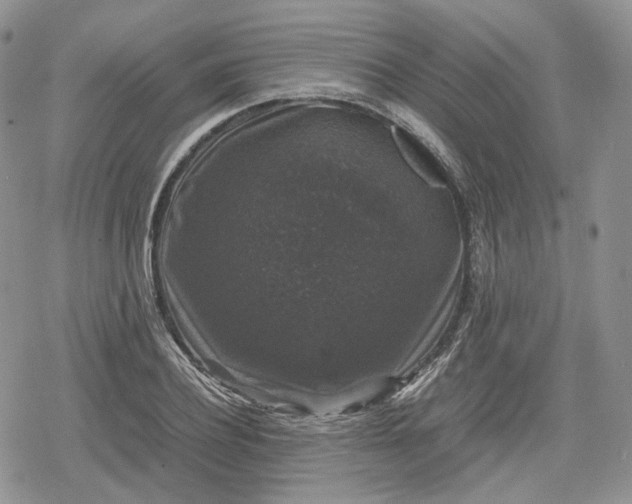 X0000078840932200611271318