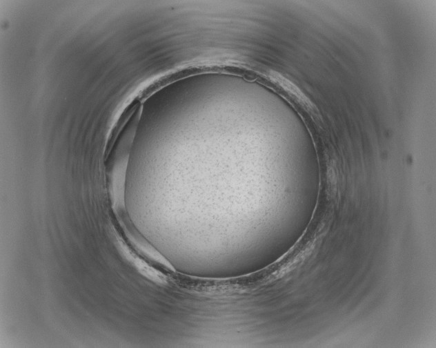 X0000078840934200611271318