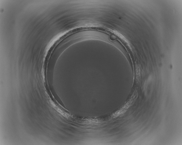 X0000078840935200611271318