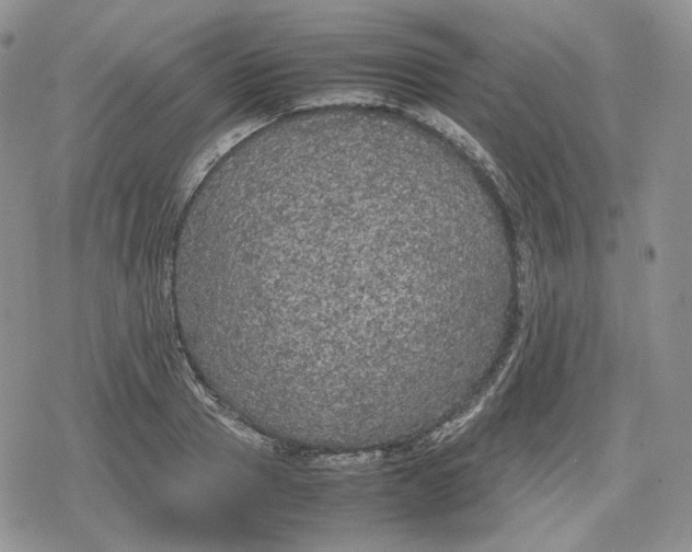 X0000078840937200611271318