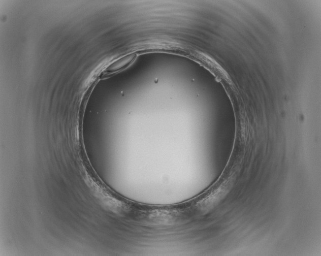 X0000078840938200611271318