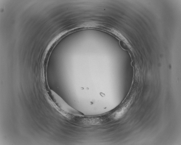 X0000078840939200611271318