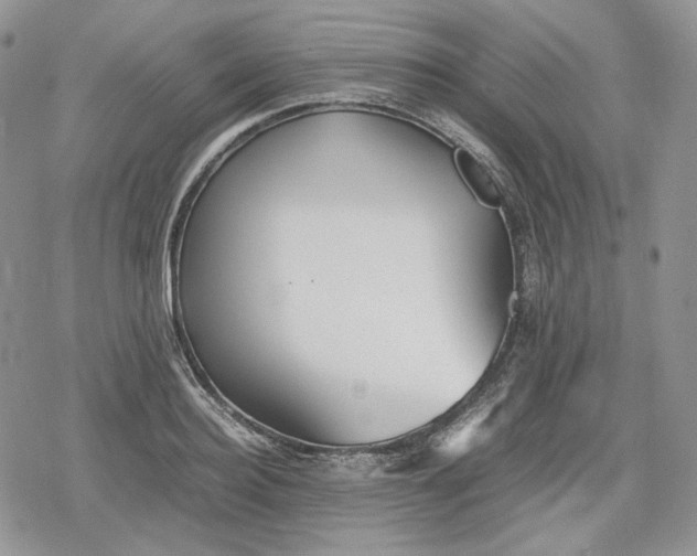 X0000078840940200611271318