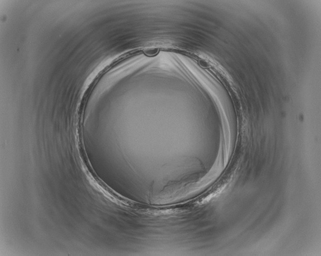 X0000078840941200611271318