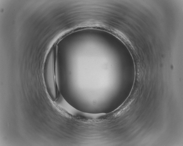 X0000078840942200611271318