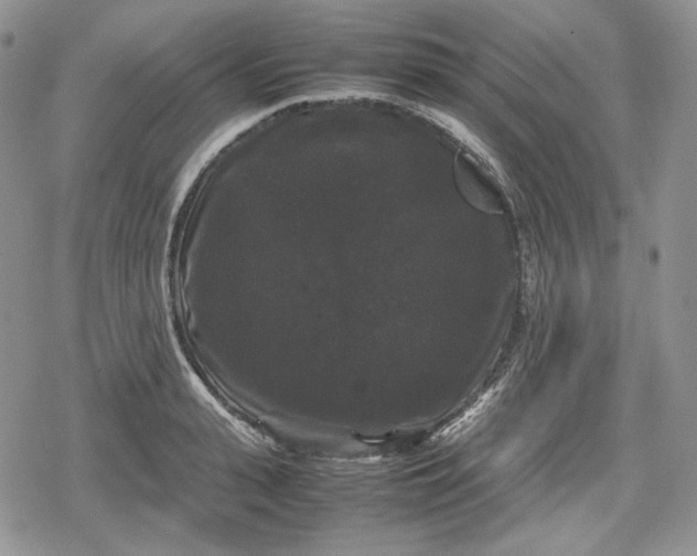 X0000078840943200611271318