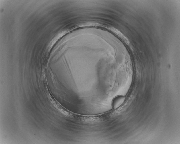 X0000078840945200611271318