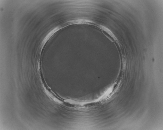 X0000078840946200611271318